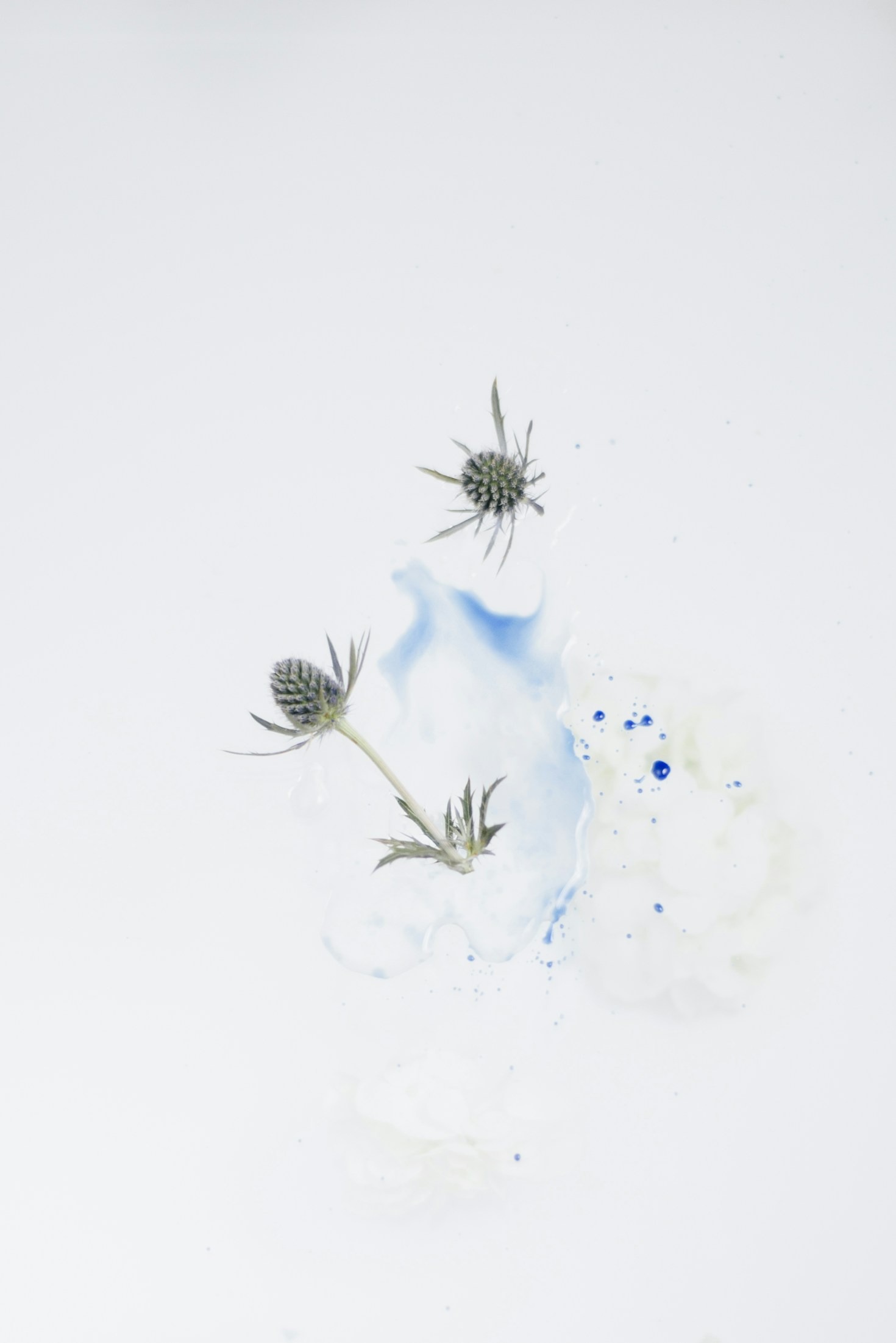 Watercolor Lessons On Grace And Healing